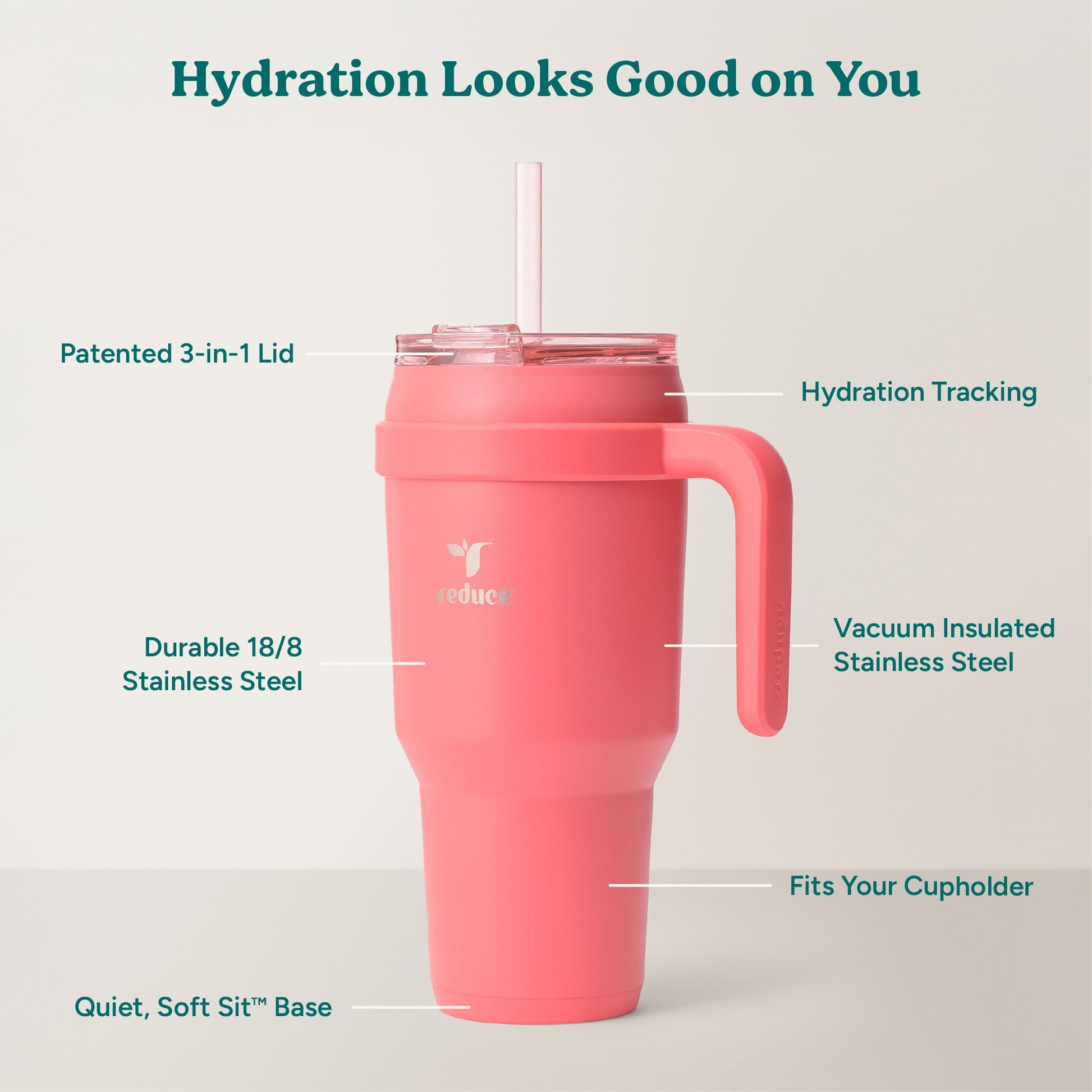 cold1-40-oz-a8 Cold1_40oz_Daiquiri_Infographic_2.jpg