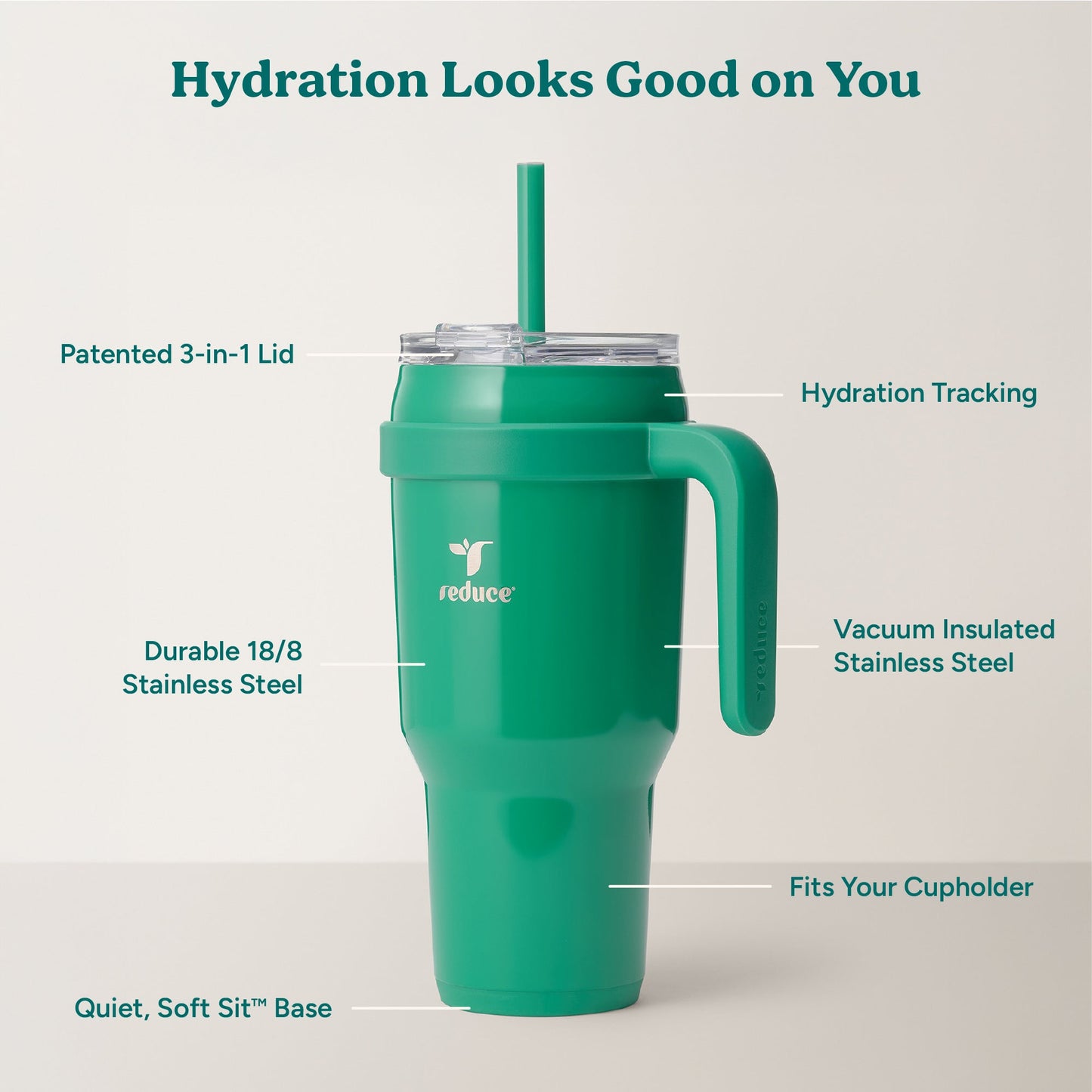 cold1-40-oz-a8 Cold1_40oz_PalmLeaf_Infographic_2.jpg
