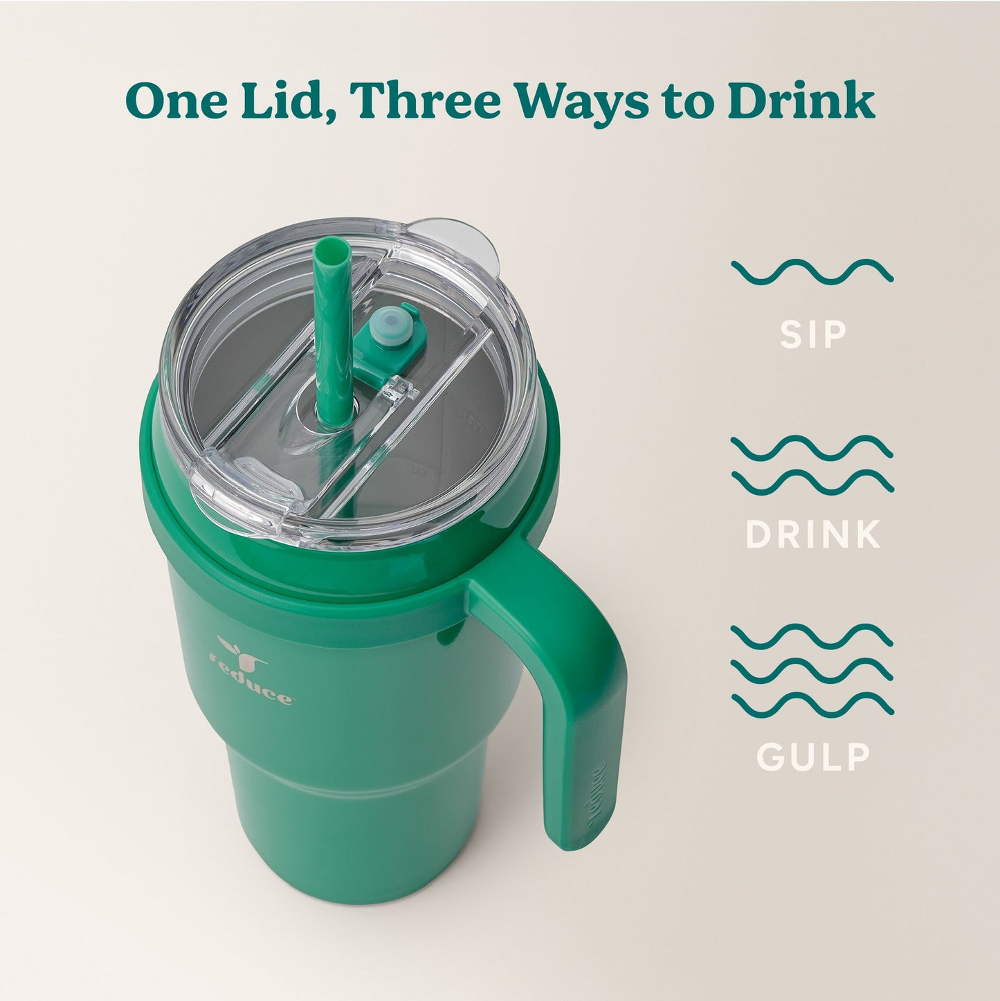 cold1-40-oz-a8 Cold1_40oz_PalmLeaf_Infographic_3.jpg