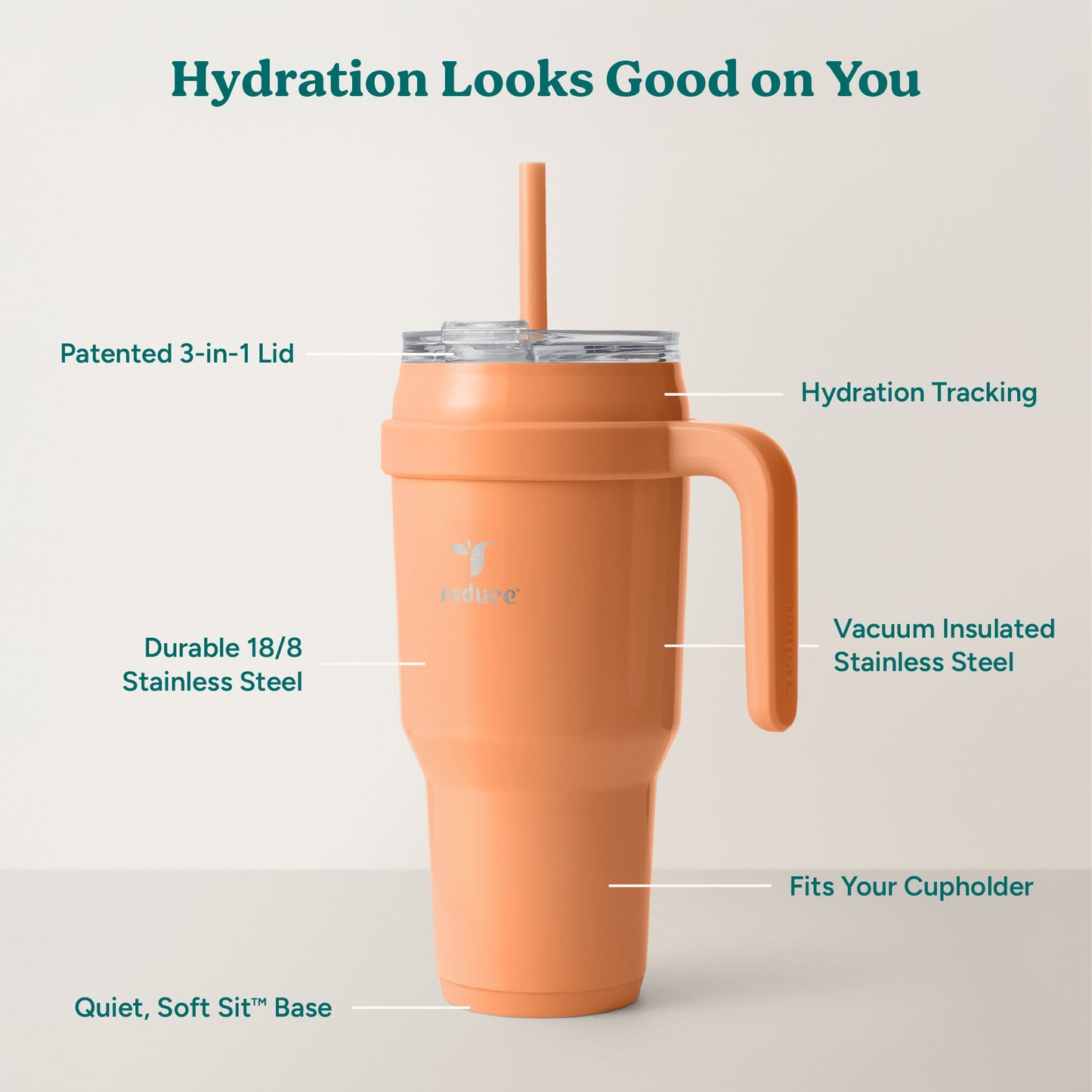 cold1-40-oz-a8 Cold1_40oz_Papaya_Infographic_2.jpg