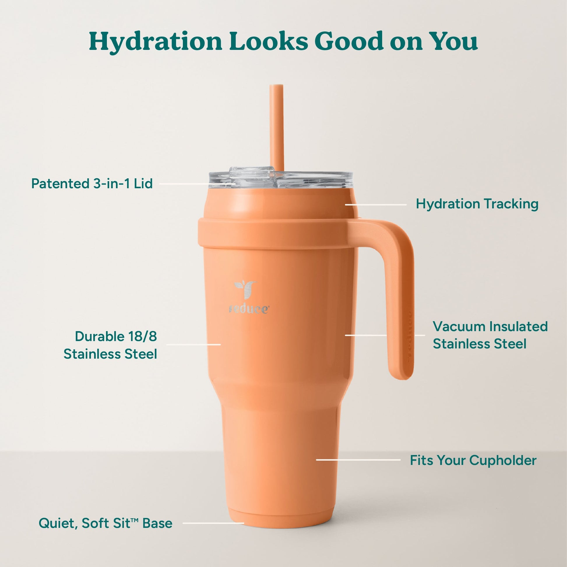 cold1-40-oz-a8 Cold1_40oz_Papaya_Infographic_2.jpg