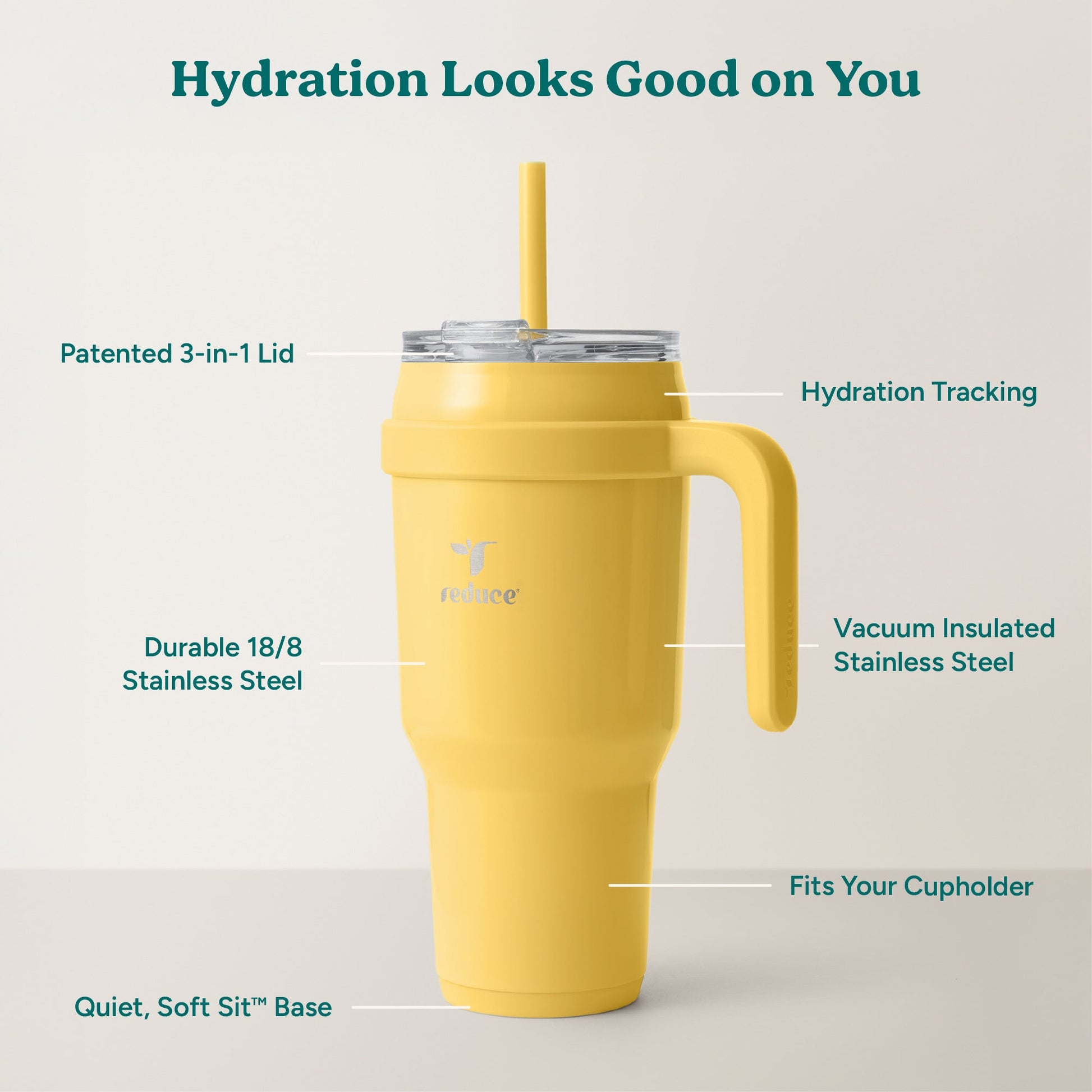 cold1-40-oz-a8 Cold1_40oz_Pineapple_Infographic_2.jpg